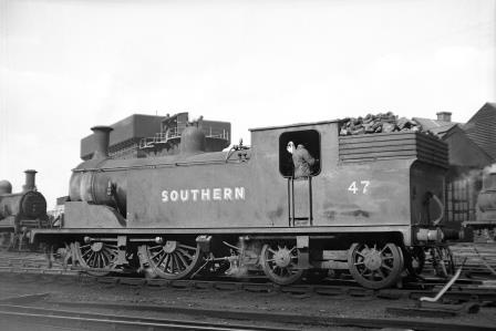 Bluebell Railway Museum