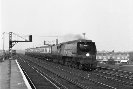 Bluebell Railway Museum