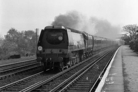 BR(S) Merchant Navy class 35017 'Belgian Marine' at Raynes Park Station, Greater London with a Waterloo - Bournemouth or Weymouth service on Saturday 26 Apr 1952 - J.H.W. Kent [153356]