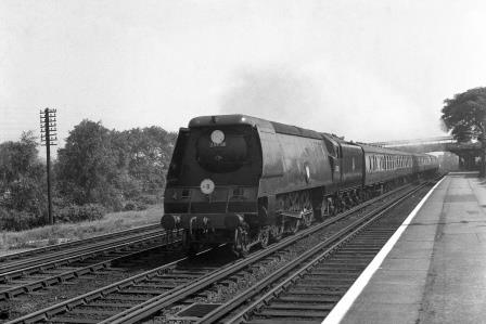 Bluebell Railway Museum
