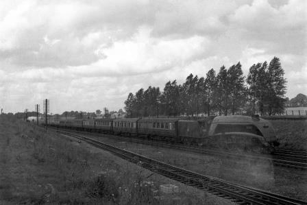 Bluebell Railway Museum
