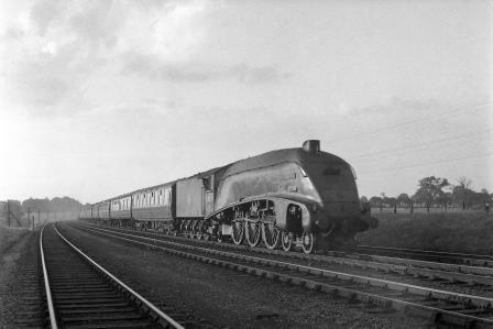 Bluebell Railway Museum