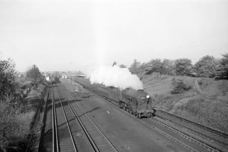 Bluebell Railway Museum