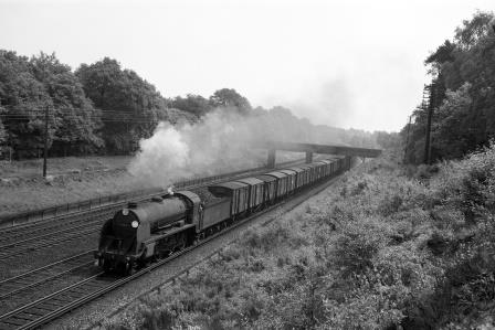 Bluebell Railway Museum