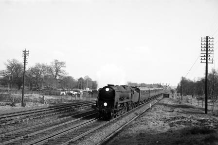 Bluebell Railway Museum
