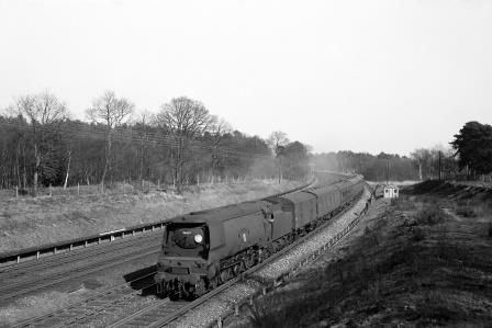 Bluebell Railway Museum