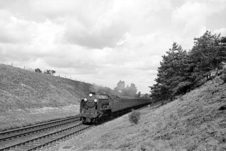Bluebell Railway Museum