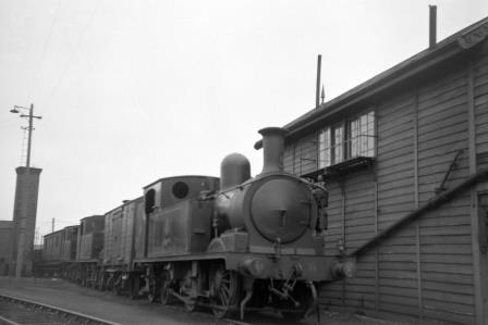 BR(S) O2 class W31 'Chale' at Ryde St Johns Road Shed, Isle of Wight circa 1957 - D. Esau [155465]