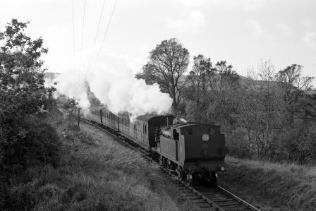 Bluebell Railway Museum