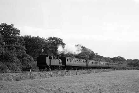 BR(S) O2 class W31 'Chale' near Brading, Isle of Wight with a Ventnor - Ryde Pier Head service on Saturday 19 Sep 1964 - D. Esau [155531]