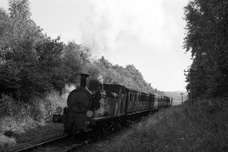 Bluebell Railway Museum