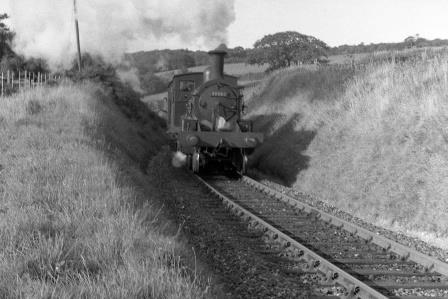 Bluebell Railway Museum