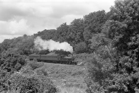 BR(S) 0415 class 30583 between Axminster and Combpyne, Devon with an Axminster - Lyme Regis service in 1959 - D. Esau [155737]