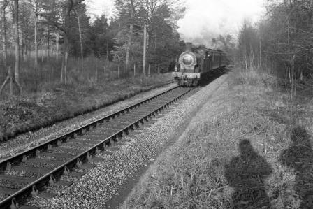 Bluebell Railway Museum