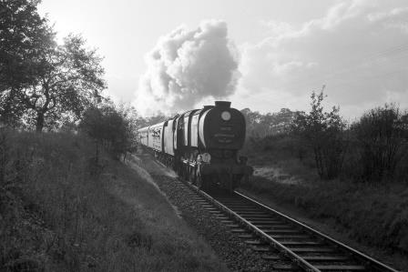 Bluebell Railway Museum