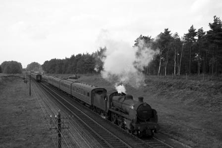 Bluebell Railway Museum