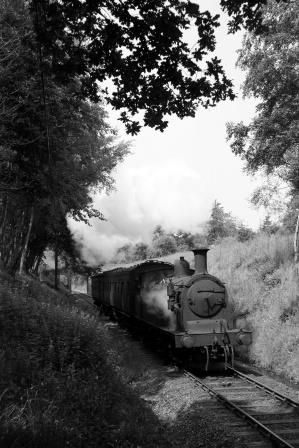 Bluebell Railway Museum