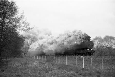 Bluebell Railway Museum