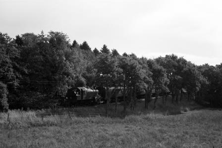 Bluebell Railway Museum