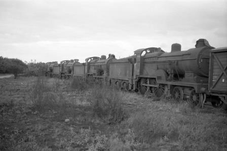 Feltham Shed, Greater London circa 1960 - D. Esau [156625]