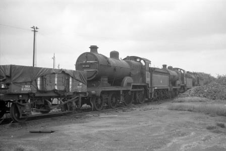 BR(S) D1 class 31545 at Feltham Shed, Greater London on Tuesday 30 Aug 1960 - D. Esau [156627]