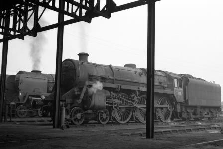 BR Std 5MT class 73113 'Lyonnesse' at Nine Elms Shed, Greater London on Wednesday 24 Jun 1964 - D. Esau [156636]