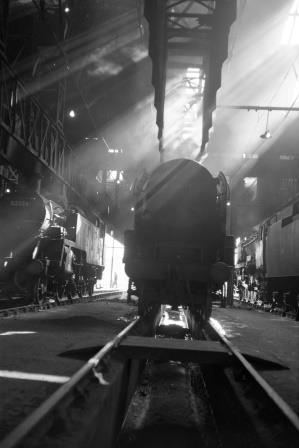 Bluebell Railway Museum