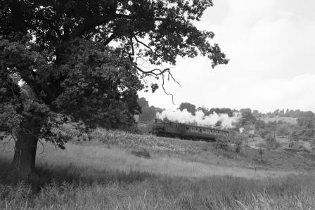 BR(W) 1400 class near Ham Mill Crossing Halt, Gloucestershire with a Local for Chalford on Thursday 16 Jul 1964 - D. Esau [157345]