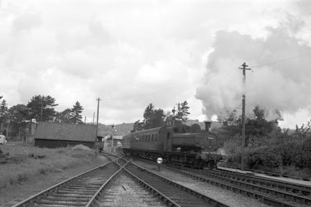 Bluebell Railway Museum