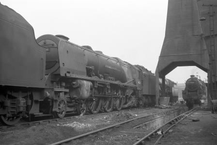 Bluebell Railway Museum