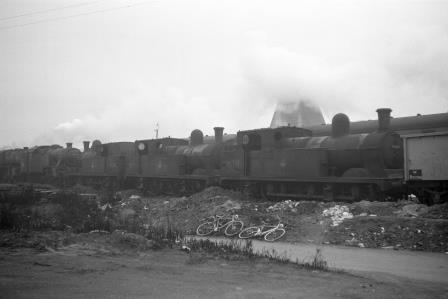 BR(E) N5 class 69341 & BR(E) N5 class & BR(E) N5 class at Neasden Shed, Greater London in the 1960s - D. Esau [158134]