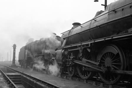 Bluebell Railway Museum