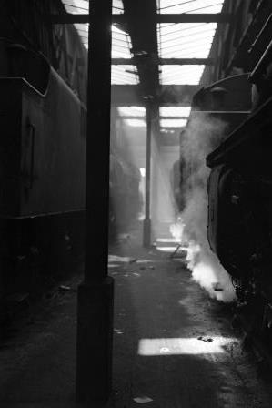 Bluebell Railway Museum