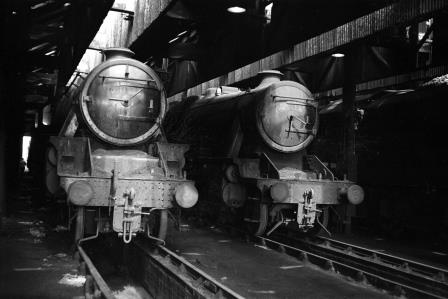 Bluebell Railway Museum