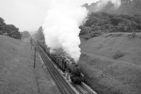 Bluebell Railway Museum