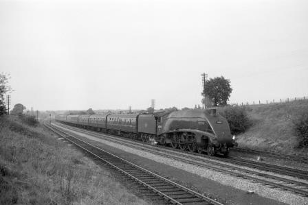 Bluebell Railway Museum