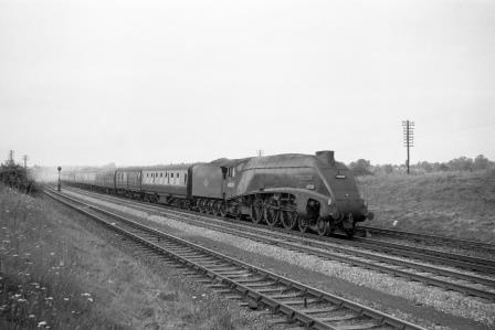 Bluebell Railway Museum