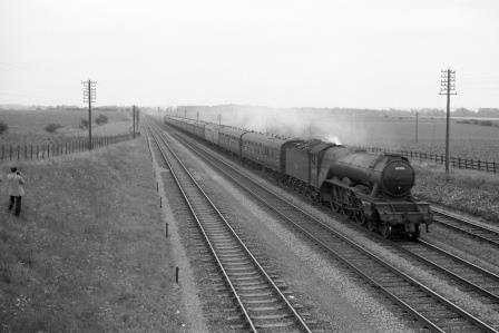 BR(E) A3 class 60055 'Woolwinder' near Langford Bridge, Hertfordshire with an up Express service on Saturday 06 Aug 1960 - D. Esau [158217]