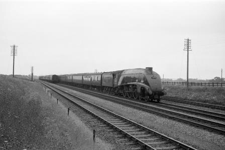 BR(E) A4 class near Langford Bridge, Hertfordshire with an up Express service on Saturday 06 Aug 1960 - D. Esau [158218]