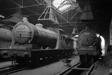 BR(E) J27 class 65860 & BR(E) J27 class 65834 at North Blyth Shed, Caithness on Sunday 13 Jun 1965 - D. Esau [158362]