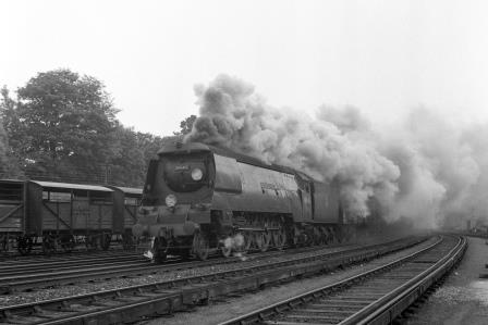 Bluebell Railway Museum