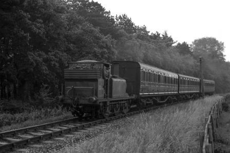 BR(S) Terrier class 32661 near Havant, Hampshire with a Hayling Island - Havant service on Saturday 25 Jun 1955 - J.H.W. Kent [200096]