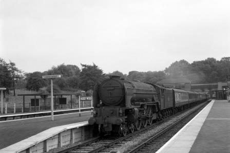 Bluebell Railway Museum
