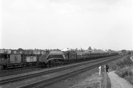 BR(E) A4 class 60029 'Woodcock' near Potters Bar, Hertfordshire with a Northbound service on Wednesday 15 Jul 1959 - J.H.W. Kent [200244]