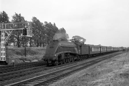 Bluebell Railway Museum