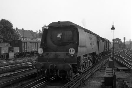 Bluebell Railway Museum