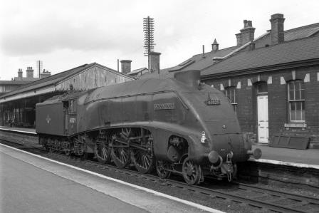 Bluebell Railway Museum