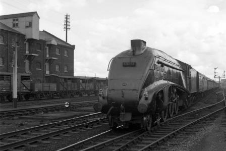Bluebell Railway Museum