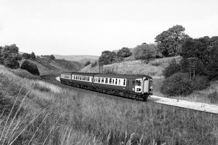 BR(M) Class 123 at Buxworth, West Sussex with the 10.45am Manchester Piccadilly to Hull on Saturday 29 Sep 1979 - J. Scrace [233518]