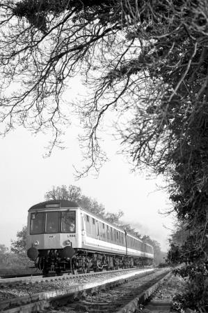 BR(S) Class 119 L594 at Godstone, Surrey with the 12.44pm Tonbridge - Reigate service on Thursday 24 Nov 1988 - J. Scrace [233877]